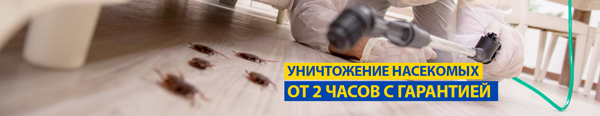 Уничтожение насекомых Уничтожение насекомых
