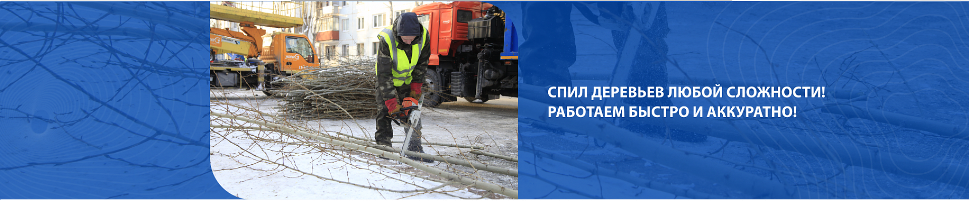 Спил деревьев Спил деревьев